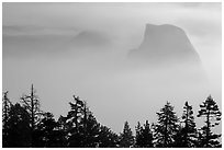 Half-Dome and Clouds Rest emerging from smoke. Yosemite National Park ( black and white)