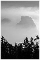 Half-Dome and Clouds Rest in fog above tree line. Yosemite National Park ( black and white)