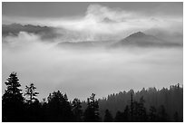 Valley below Clark Range filled with smoke. Yosemite National Park ( black and white)
