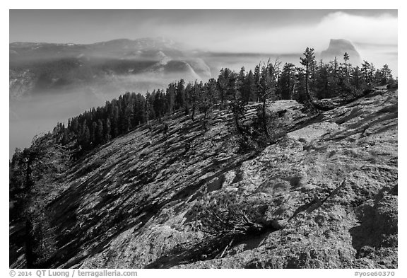 Smoke-filled valley and Half-Dome from Sentinel Dome. Yosemite National Park (black and white)