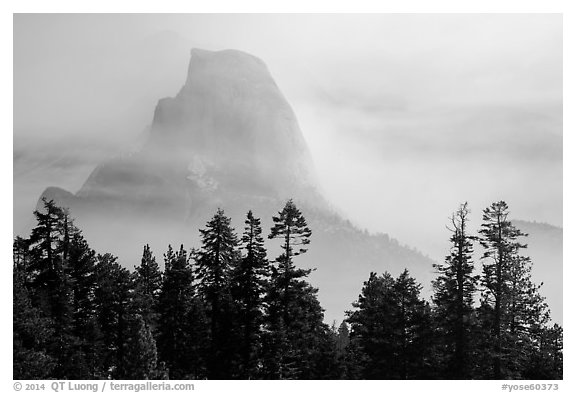 Half-Dome, clearing fog. Yosemite National Park (black and white)