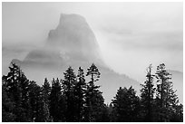 Half-Dome, clearing fog. Yosemite National Park ( black and white)