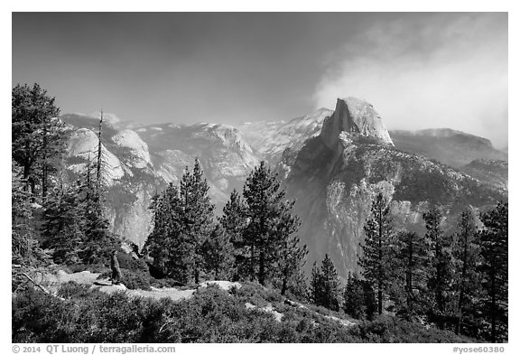 Visitor looking, Glacier Point. Yosemite National Park (black and white)