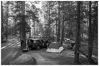Camping in Bridalveil Creek Campground. Yosemite National Park ( black and white)