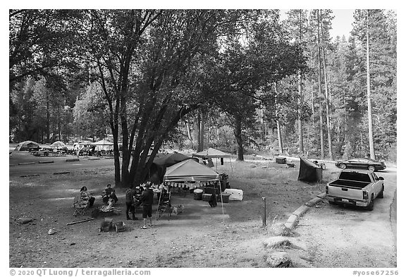 Wavona Campground. Yosemite National Park (black and white)