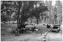 Wavona Campground. Yosemite National Park ( black and white)