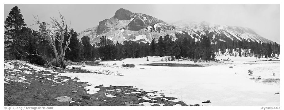 Tioga Pass, peaks and snow-covered meadow. Yosemite National Park (black and white)