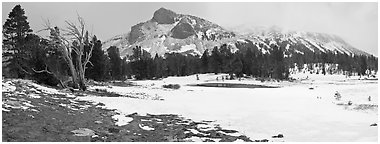 Tioga Pass, peaks and snow-covered meadow. Yosemite National Park (Panoramic black and white)