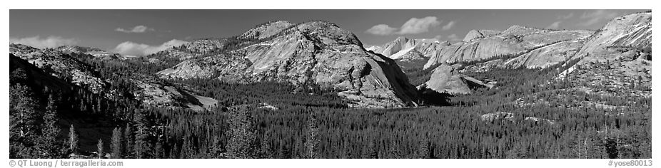 Granite domes and Tenaya Lake. Yosemite National Park (black and white)