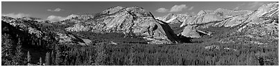 Granite domes and Tenaya Lake. Yosemite National Park (Panoramic black and white)