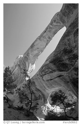 Double O Arch, afternoon. Arches National Park (black and white)