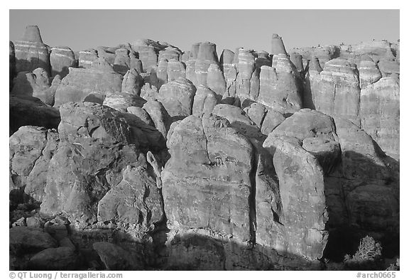 Sandstone fins at Fiery Furnace, sunset. Arches National Park (black and white)