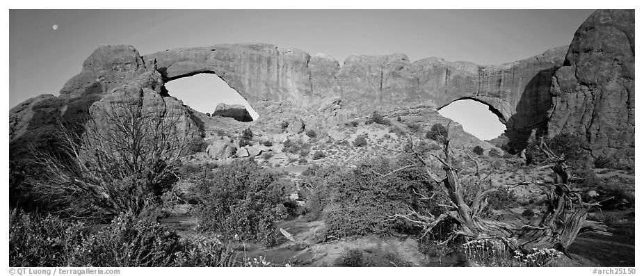 Sandstone windows. Arches National Park (black and white)