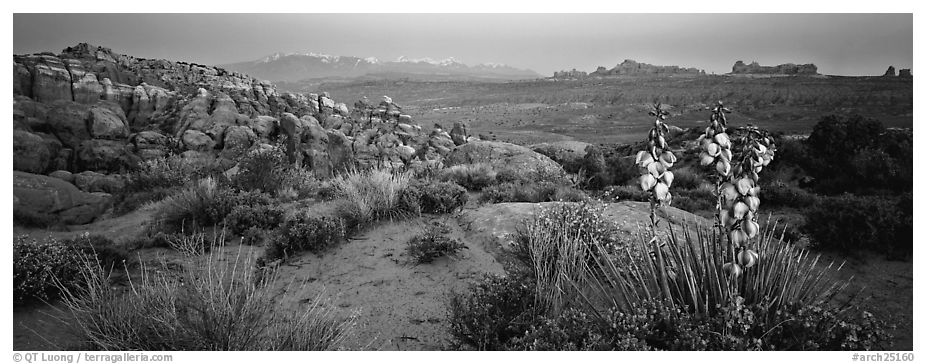 Fiery Furnace sandstone fins and mountains at dusk. Arches National Park (black and white)