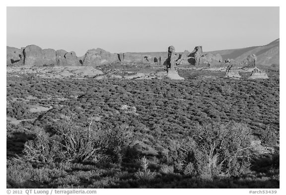 Desert shrub, flatlands, and Windows group in distance. Arches National Park, Utah, USA.