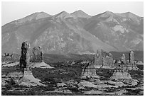 Sandstone pillars and La Sal Mountains. Arches National Park ( black and white)
