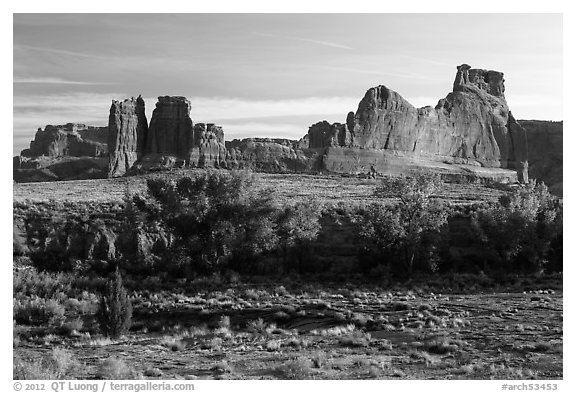 Cottonwoods of Courthouse Wash and Courthouse Towers. Arches National Park (black and white)