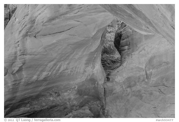 Sand Dune Arch detail. Arches National Park, Utah, USA.