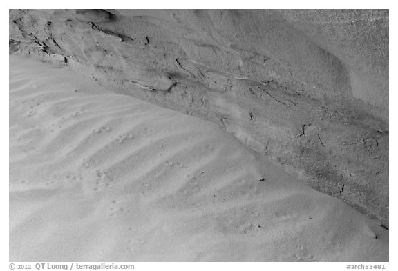 Sand ripples near wall with animal tracks. Arches National Park (black and white)