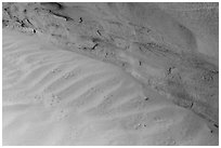 Sand ripples near wall with animal tracks. Arches National Park, Utah, USA. (black and white)