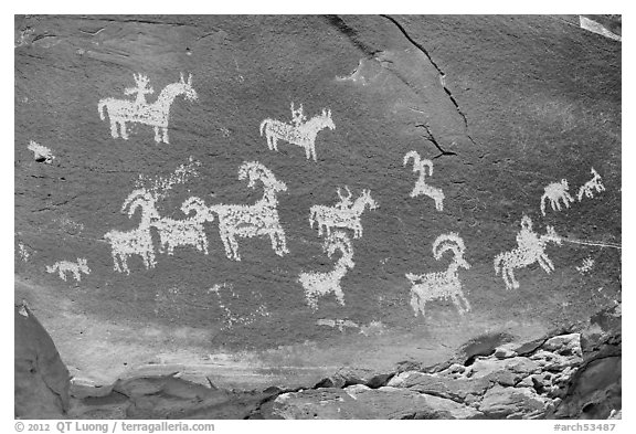 Rock with pannel of Ute Petroglyphs. Arches National Park (black and white)