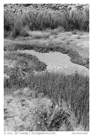 Creek near Wolfe Ranch. Arches National Park (black and white)