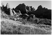 Fins in Devils Garden. Arches National Park ( black and white)