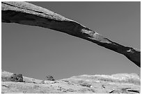 Span of Landscape Arch, longuest natural arch. Arches National Park, Utah, USA. (black and white)