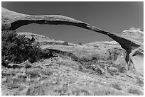 290 feet span of landscape Arch. Arches National Park, Utah, USA. (black and white)