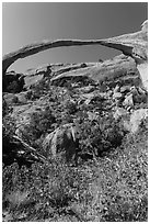 Landscape Arch with fallen boulders. Arches National Park, Utah, USA. (black and white)