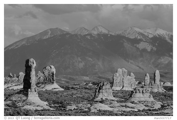 Fins and La Sal mountains. Arches National Park (black and white)