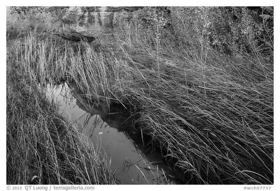 Creek and grasses flattened by water, Courthouse Wash. Arches National Park (black and white)