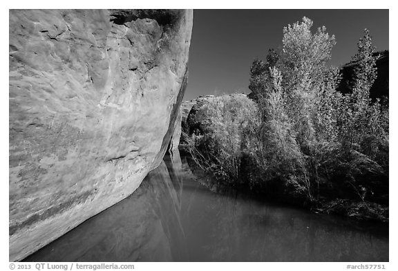Cliff and vegetation reflected in stream, Courthouse Wash. Arches National Park (black and white)