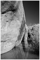 Sandstone cliffs reflected in stream, Courthouse Wash. Arches National Park ( black and white)