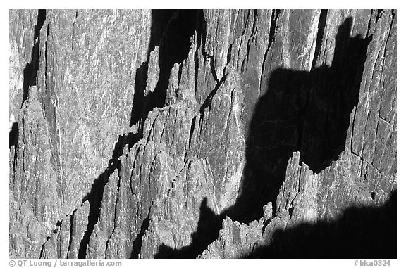 Detail of canyon wall from Kneeling camel view, North rim. Black Canyon of the Gunnison National Park, Colorado, USA.
