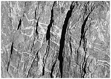 Detail of the Painted wall. Black Canyon of the Gunnison National Park ( black and white)