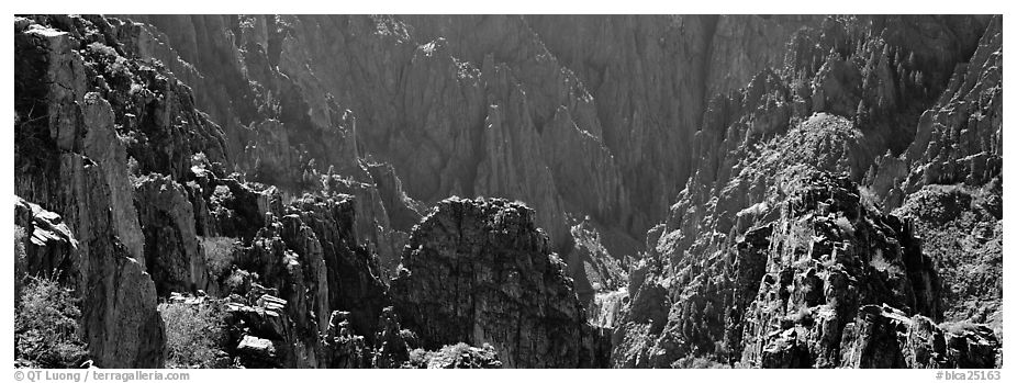 Spires inside canyon. Black Canyon of the Gunnison National Park (black and white)