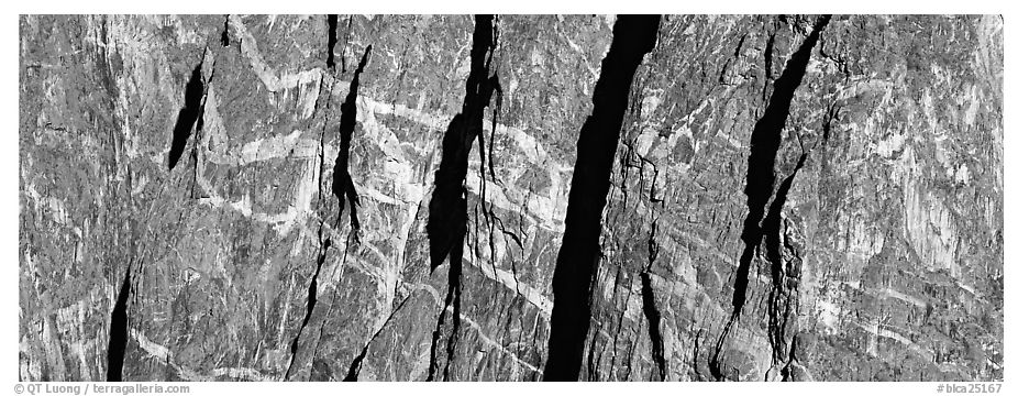 Crystalline marbled walls. Black Canyon of the Gunnison National Park (black and white)