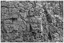 Fractured rock wall. Black Canyon of the Gunnison National Park, Colorado, USA. (black and white)