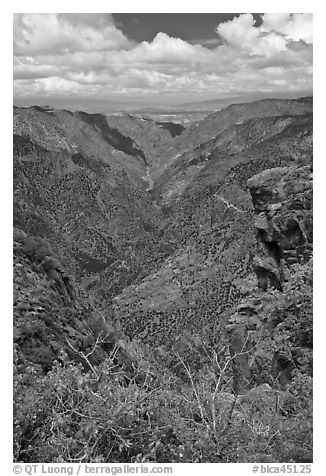 Sunset View. Black Canyon of the Gunnison National Park (black and white)