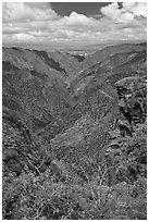 Sunset View. Black Canyon of the Gunnison National Park ( black and white)