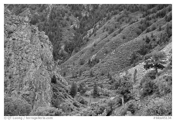 East Portal in spring. Black Canyon of the Gunnison National Park (black and white)