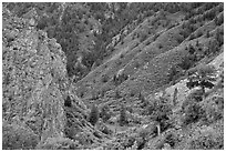 East Portal in spring. Black Canyon of the Gunnison National Park ( black and white)