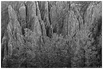 Pegmatite dikes. Black Canyon of the Gunnison National Park ( black and white)