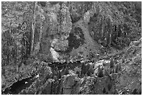 Gunnison River in autumn from above. Black Canyon of the Gunnison National Park ( black and white)