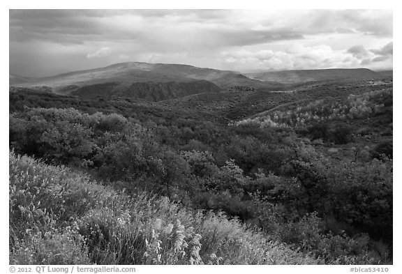 Rolling hills and storm in autumn. Black Canyon of the Gunnison National Park (black and white)