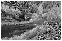 Gunnison river in fall, East Portal. Black Canyon of the Gunnison National Park ( black and white)