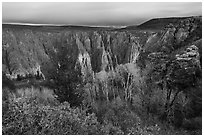 Canyon view with gambel oak and aspen in fall foliage. Black Canyon of the Gunnison National Park ( black and white)