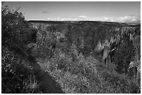 Oak Flat Trail. Black Canyon of the Gunnison National Park ( black and white)