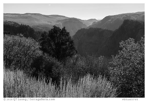 Tomichi Point in the autumn. Black Canyon of the Gunnison National Park (black and white)